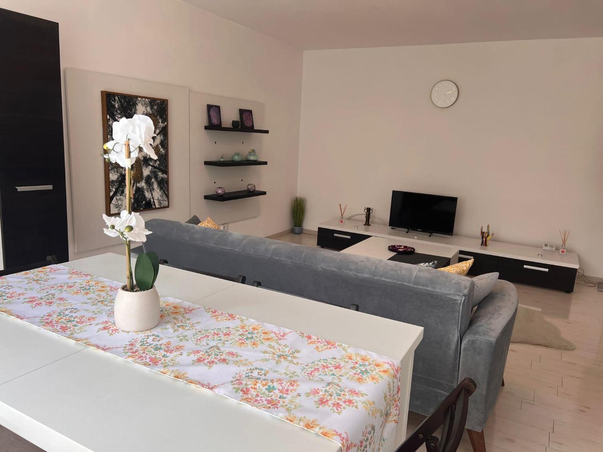 Apartment - Septimiu Albini -